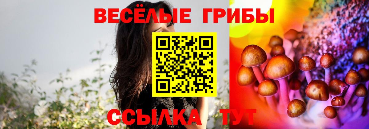 Торжок  Галлюциногенные грибы Cubensis  Вход с VPN  Псилоцибиновые грибы ЛСД 
