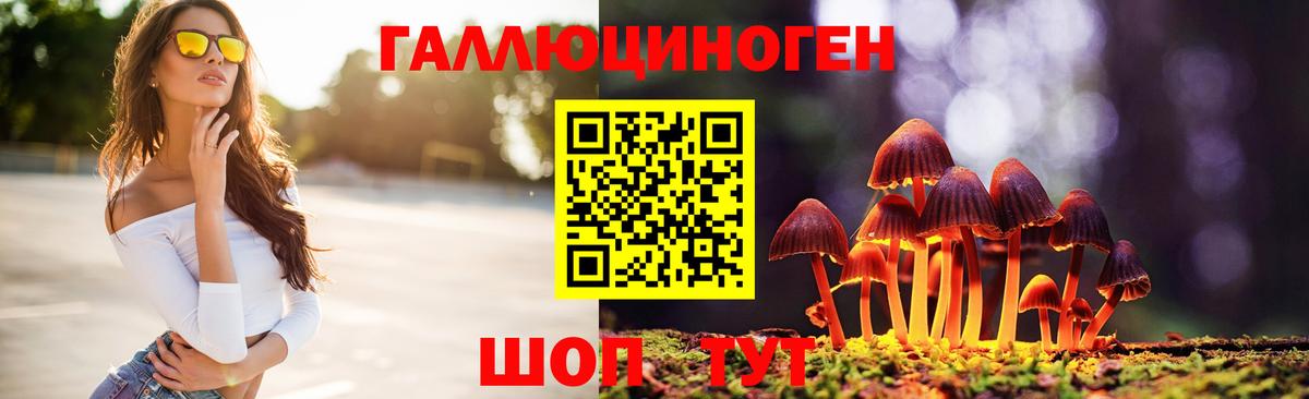 Псилоцибиновые грибы мухоморы Торжок